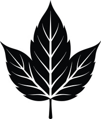 Abstract geometric pattern with glowing neon lines and a dark futuristic cyberpunk aesthetic.