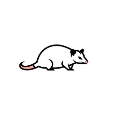 Obraz premium Vector illustration of black opossum with pink tail and nose. Outline image for animal types, flashcards. Fauna and biodiversity. Wildlife animals