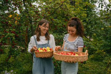Two smiling female farmers are holding wicker baskets full of ripe red and yellow apples, enjoying...