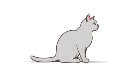 Gray cat sitting in profile view on transparent  background  