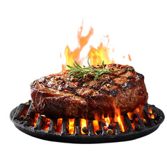 Steak on Burning Grill Perfect Heat