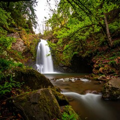 Lush waterfall cascading through a serene forest
