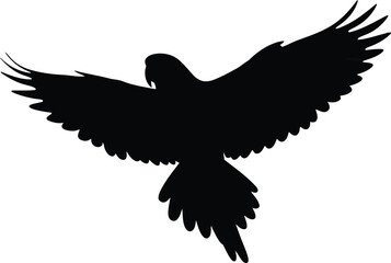 Majestic parrot silhouette flying freedom tropical exotic bird vector