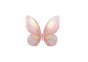 Pale pink butterfly, wings translucent with soft shading, isolated on black background