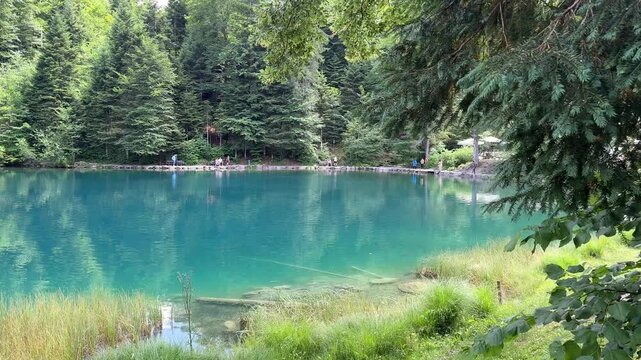 Crystal-clear Blausee lake in Switzerland, where the water is so transparent you can see fish swimming below. Pristine alpine nature, peaceful atmosphere, and stunning natural beauty. Kandergrund 