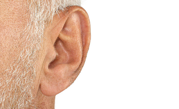 Close-Up Isolated Human Ear PNG with Transparent Background &ndash; old man Hearing and Anatomy Detail