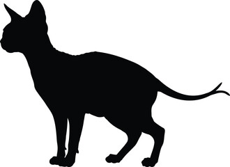Elegant sphynx cat silhouette standing profile view minimalist clean design vector