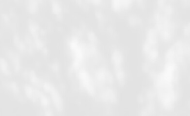 Shadow of leaves tree plant overlay on white wall. Sunlight effect shadow on the wall. Minimal blurred backdrop backgrounds. Summer tropical surface background.