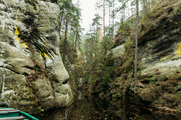 Waterfall river stream in green nature forest landscape