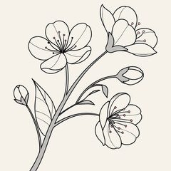 Line Art Flower Bloom 1