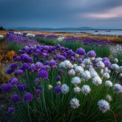 Fototapeta premium Colorful flower field at twilight by the water