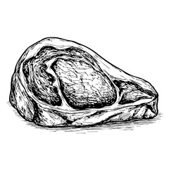 Vintage sketch of beef cut with intricate details  
