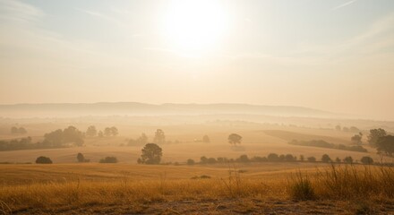 Obraz premium Golden Hour Sunrise Over Foggy Field
