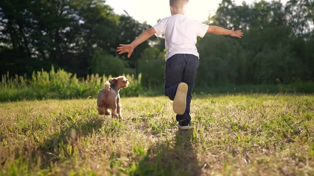 Boy running with his dog. Boy running in the sunshine with dog. A young girl in a forest in the summer with a playful motion outdoors. A young boy sprinting alongside his lifestyle dog.