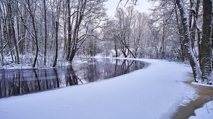 winter forest and river in the snow