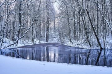 River in winter forest