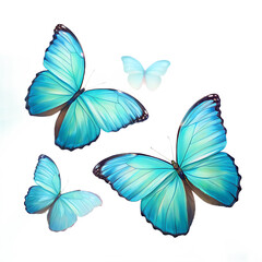 set of colorful butterflies isolated
