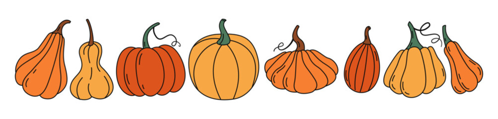 Colorful Pumpkins in simple doodle style. Thanksgiving. Harvest festival. Autumn design for poster, label, sale, banner, logo, card, stickers. Festive fall vector flat illustration isolated