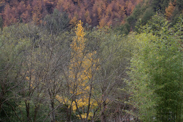 Season Change, Scenery of the valley in Autumn