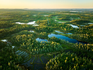 aerial view of the forest and lakes in lapland