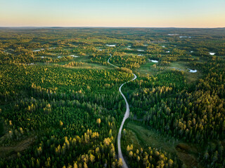 aerial view of the forest and road