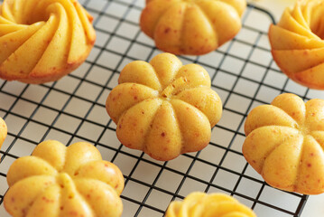 Autumn-Themed Mini pumpkin Cakes with Seasonal Decorations on White Background