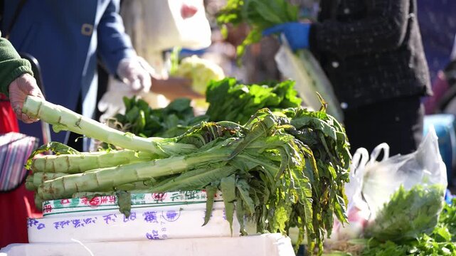 Market vendor holding fresh celery for sale at a local vegetable stall