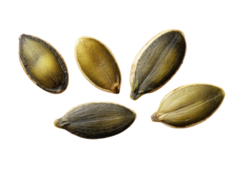 Close-up view of five pumpkin seeds, arranged in a loose fan shape against a black background.  Each seed shows a light tan/yellow interior with a dark, patterned outer shell