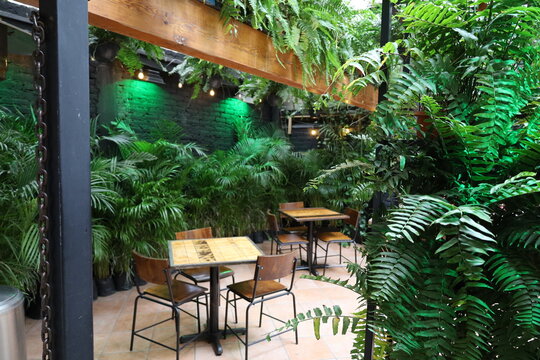 inside of a cafe mexico city