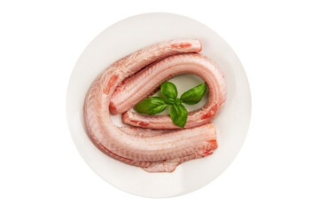 Raw rock eel fish rock salmon shark seafood small-spotted catshark tasty snack fresh delicious...