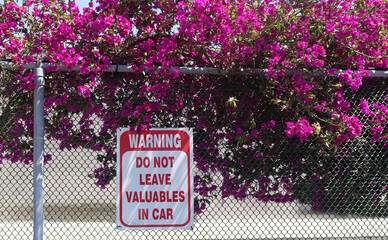 Warning sign and bougainvillea