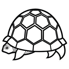 Black and white outline of a tortoise shell and head on white background turtle