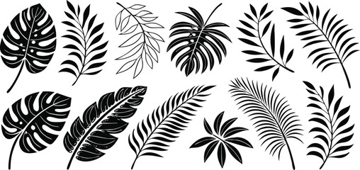 Print ropical leaves vector. Set of palm leaves silhouettes isolated on white background