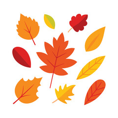 Naklejka premium Collection of colorful autumn leaves in various shapes and sizes