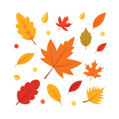 Vibrant collection of autumn leaves in various shapes and colors