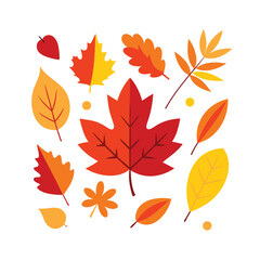 Vibrant collection of autumn leaves in various shapes and colors