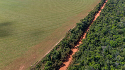 Huge soybean crop in a deforested area of ​​the Amazon rainforest in Mato Grosso, Brazil....