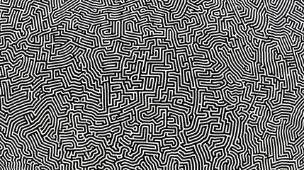 Black and white abstract painting with many lines and curves. The painting is very detailed and has a lot of texture