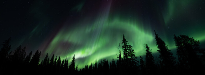 Igloo in winter forest against the backdrop of incredible starry sky with Aurora borealis. Northern lights in winter mountains. Wintry scene with glowing polar lights and icehouse. Christmas postcard
