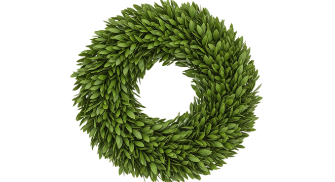 Green leafy wreath isolated on transparent background