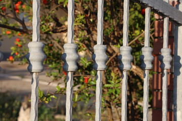 Metal curly fence in the park