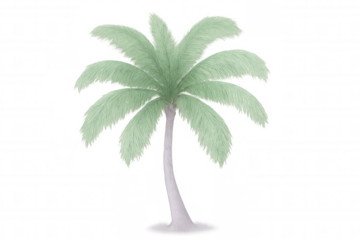 3d rendering of a green palm tree isolated on transparent background, perfect for summer and tropical themes