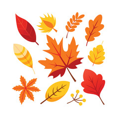 Collection of colorful autumn leaves in various shapes and sizes