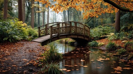Fototapeta premium Fall & Autumn : Serene wooden bridge over a tranquil pond in a lush forest.