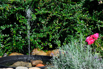 źródełko w ogrodzie, mini fontanna solarna otoczona kamieniami i zielonymi roślinami, tryskający strumień wody z małej fontanny ogrodowej, a solar fountain in a small bowl in the garden  © kateej