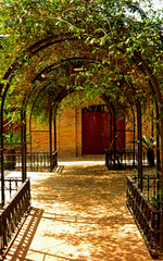 pergola ogrodowa w krztałcie łuku porosnięta pnączami, pergola z pnączami w słoneczny dzień na tle ceglanej ściany, Arched garden pergola covered with vines
