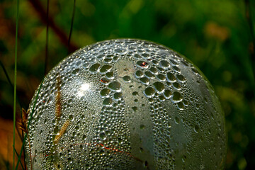 przeźroczysta bańka z kroplami wody, plastikowa, przeźroczusta kula pokryta parą wodną i kropalmi wody, transparent bubble with water drops, a plastic, transparent ball covered with water drops