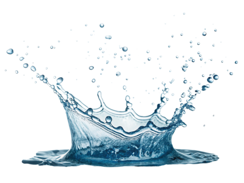 Dynamic water splash crown formation isolated on transparent background