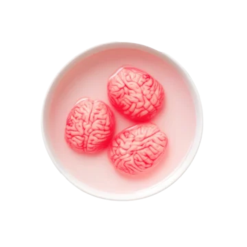 Isolated Zombie Brains in Dish Halloween Style on transparent background