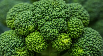 Close Up Vibrant Green Broccoli Texture